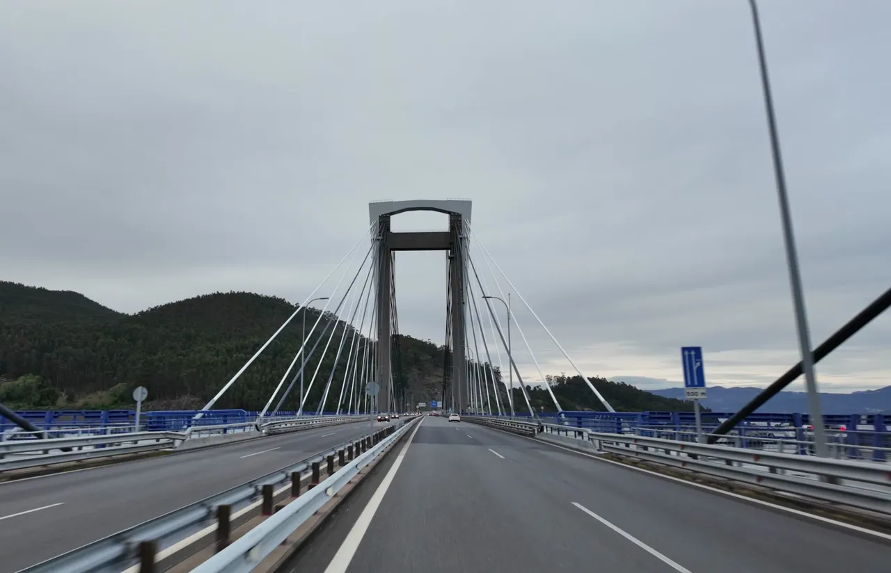 277.jpg