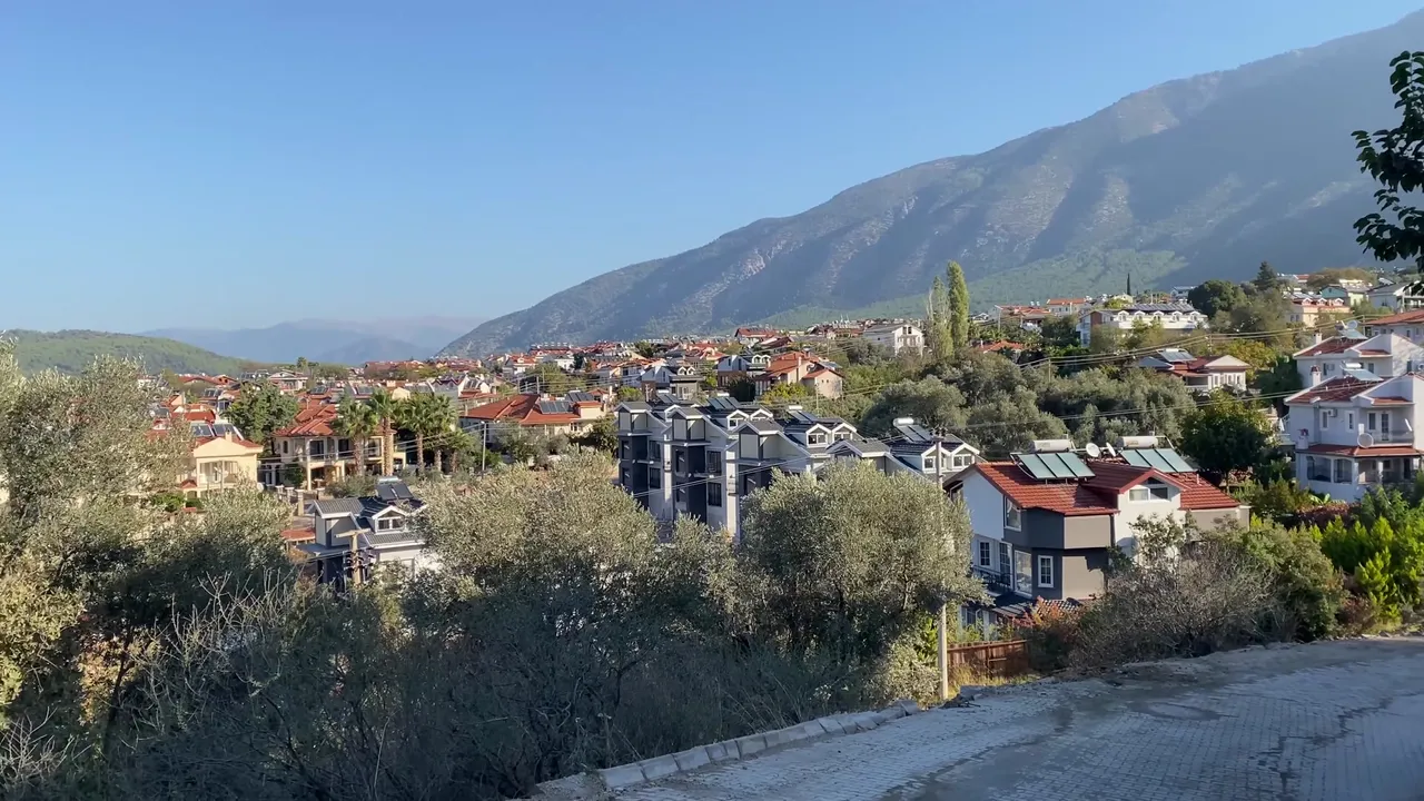 119.jpg