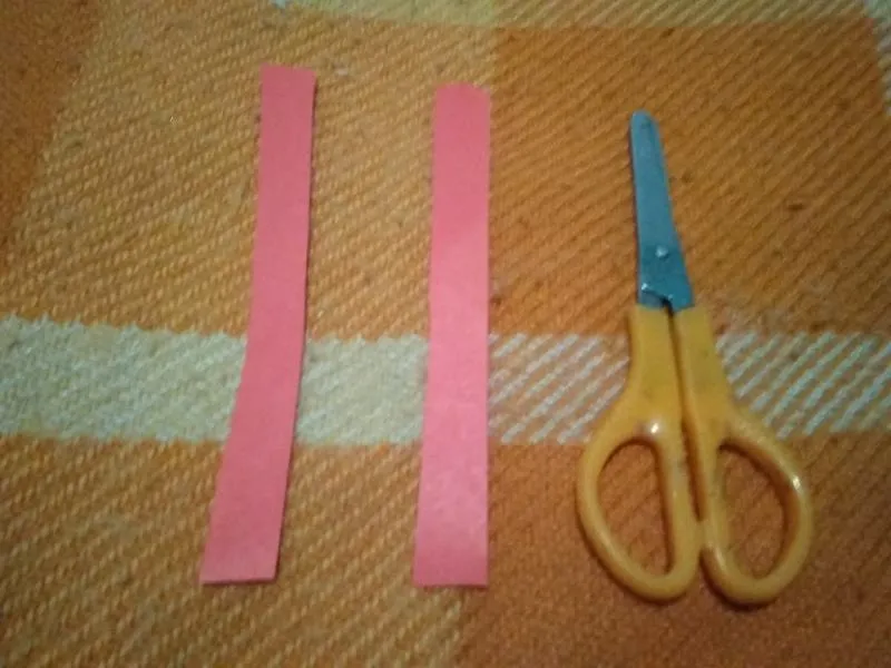 p11.jpg