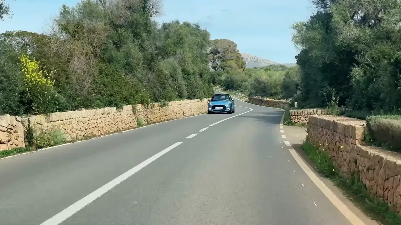 498.jpg