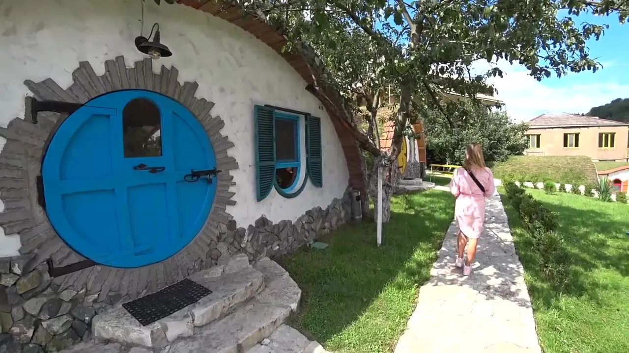 317.jpg