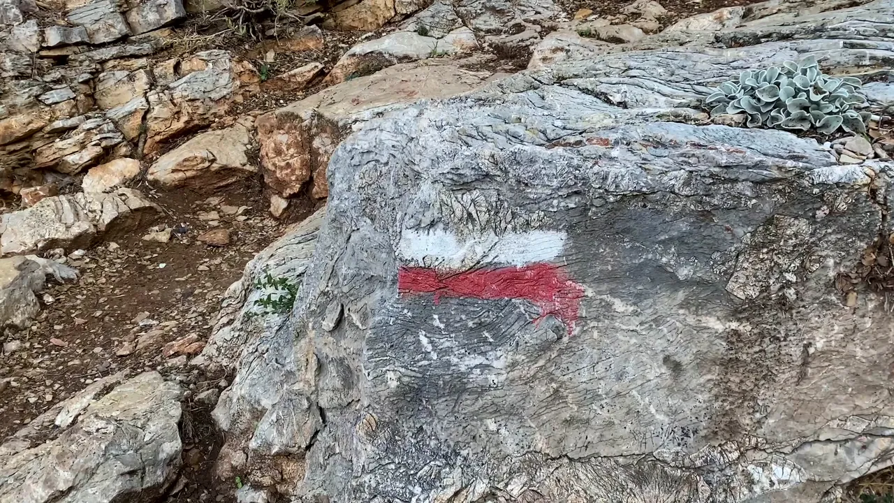 429.jpg
