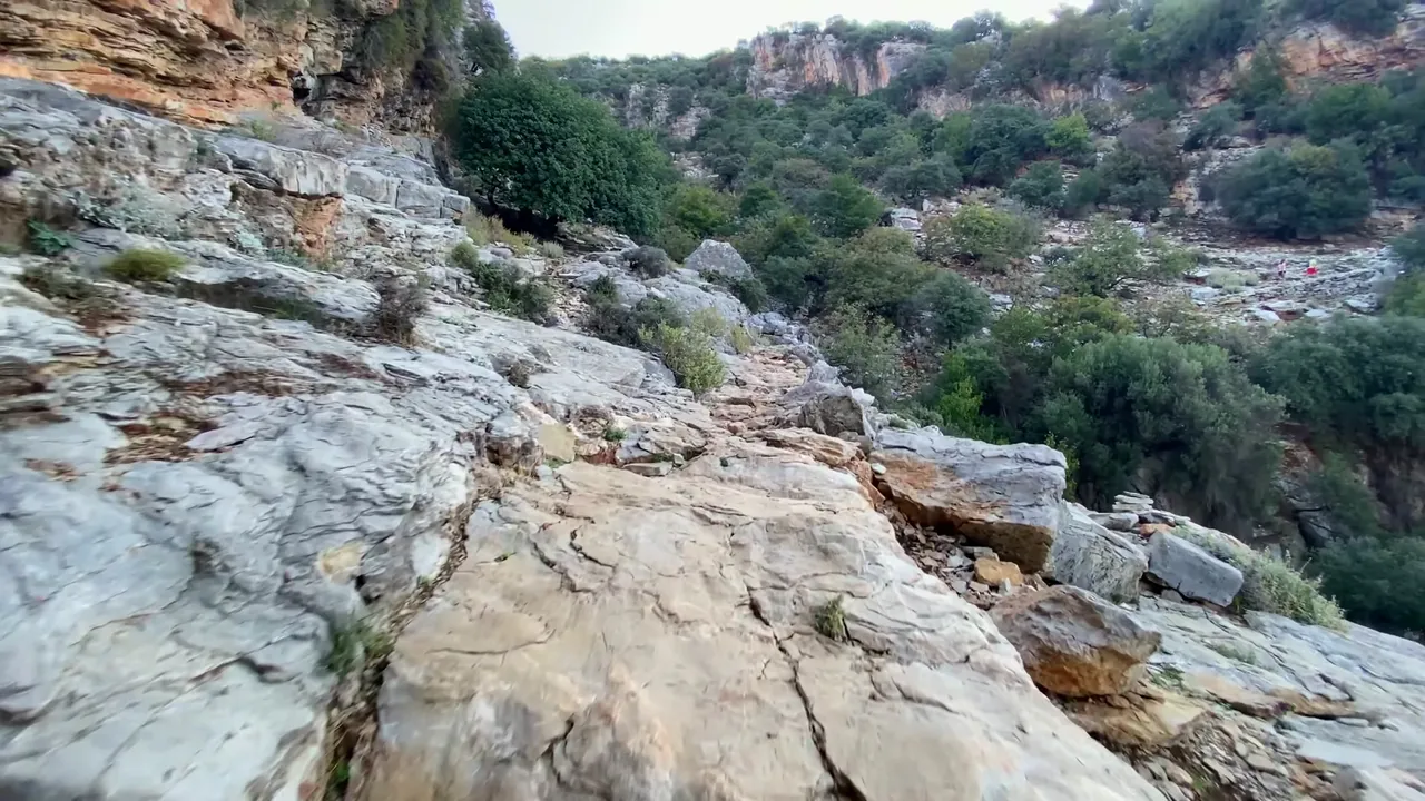 438.jpg