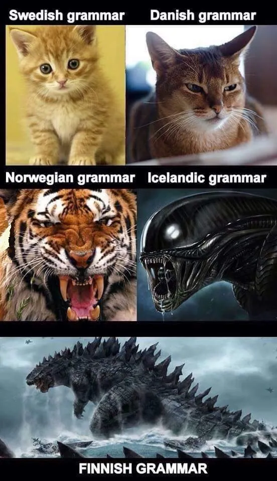 Nordic Language Grammar