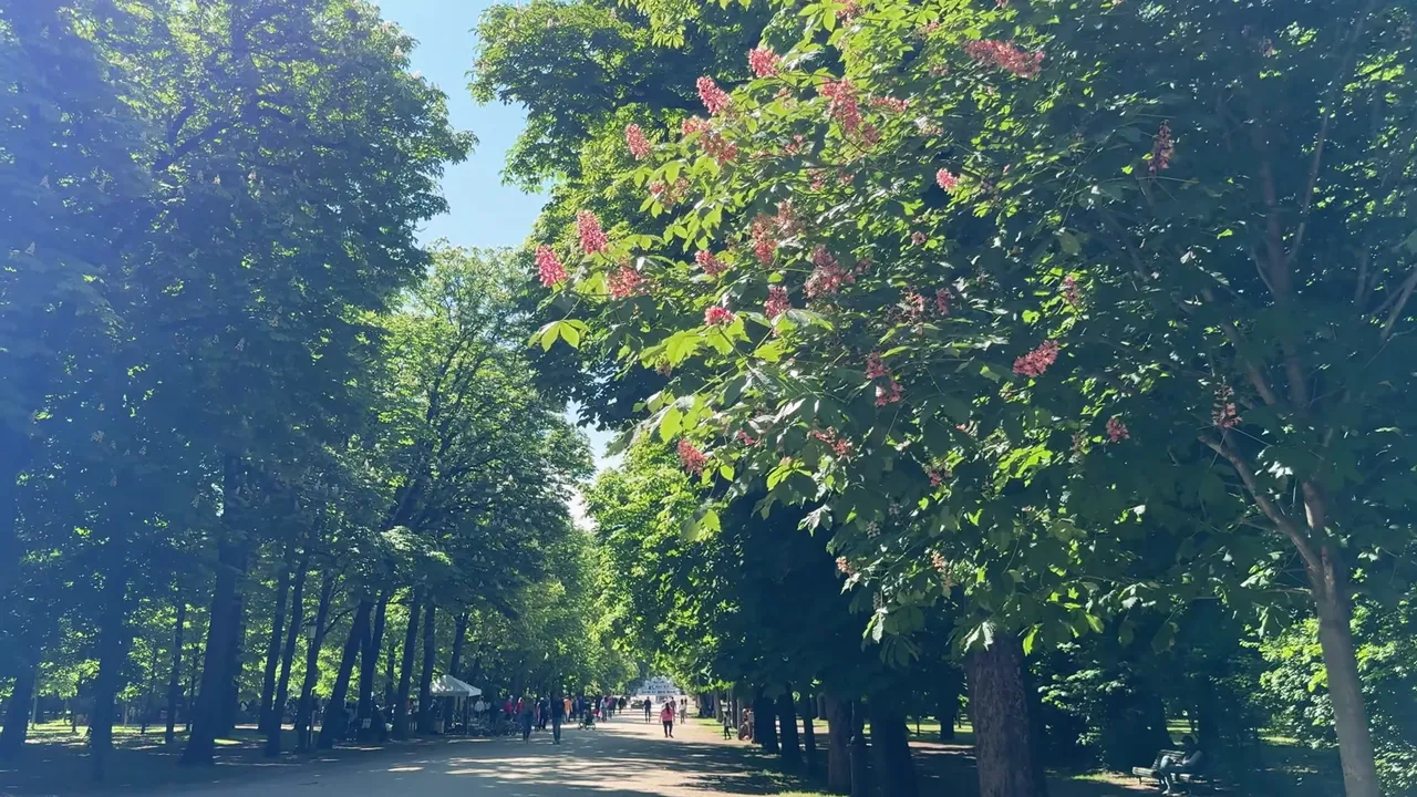 369.jpg