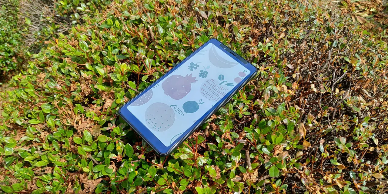 a5c.jpg