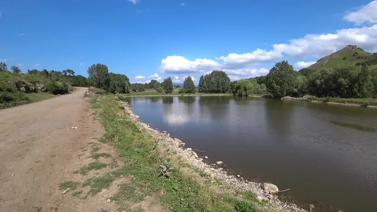 139.jpg