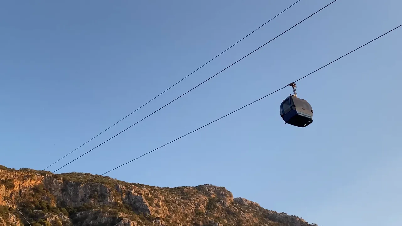 232.jpg
