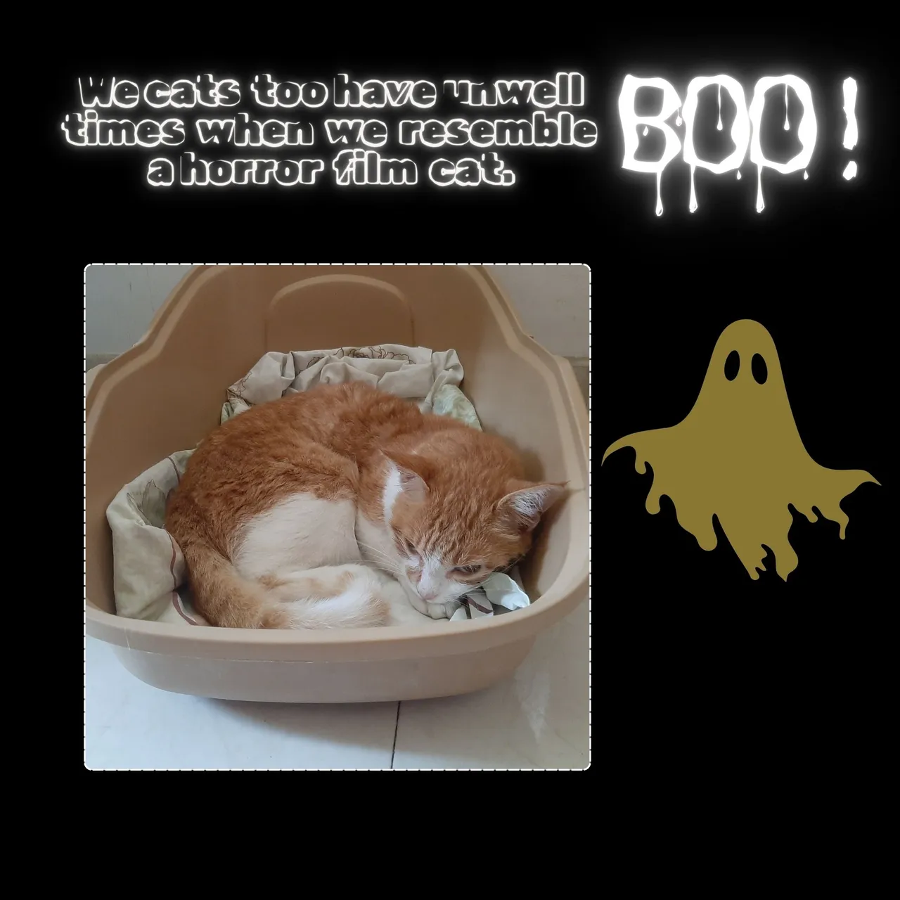 boo.jpg