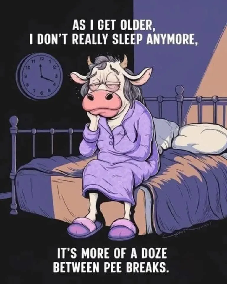 220.jpg
