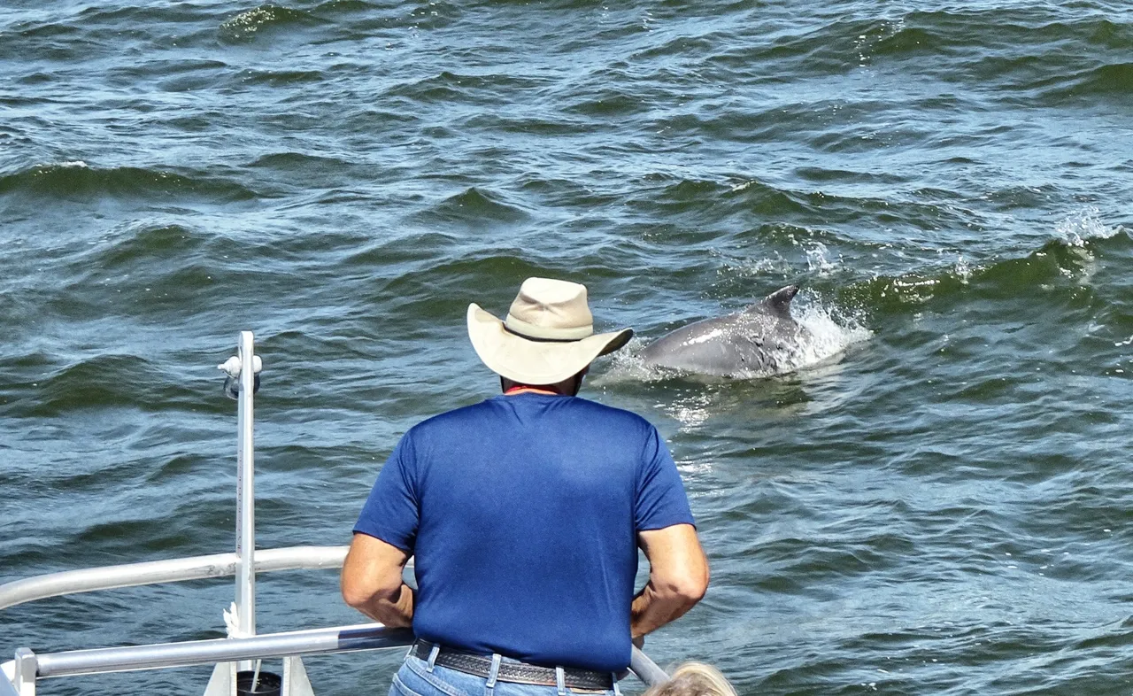 The man who can smell the Dolphins