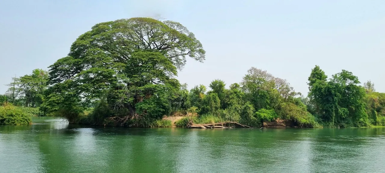 The river is dotted with little islets like these