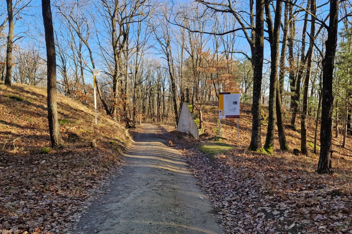 Fortified hill settlement