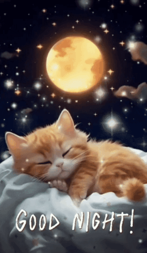 untitled.gif