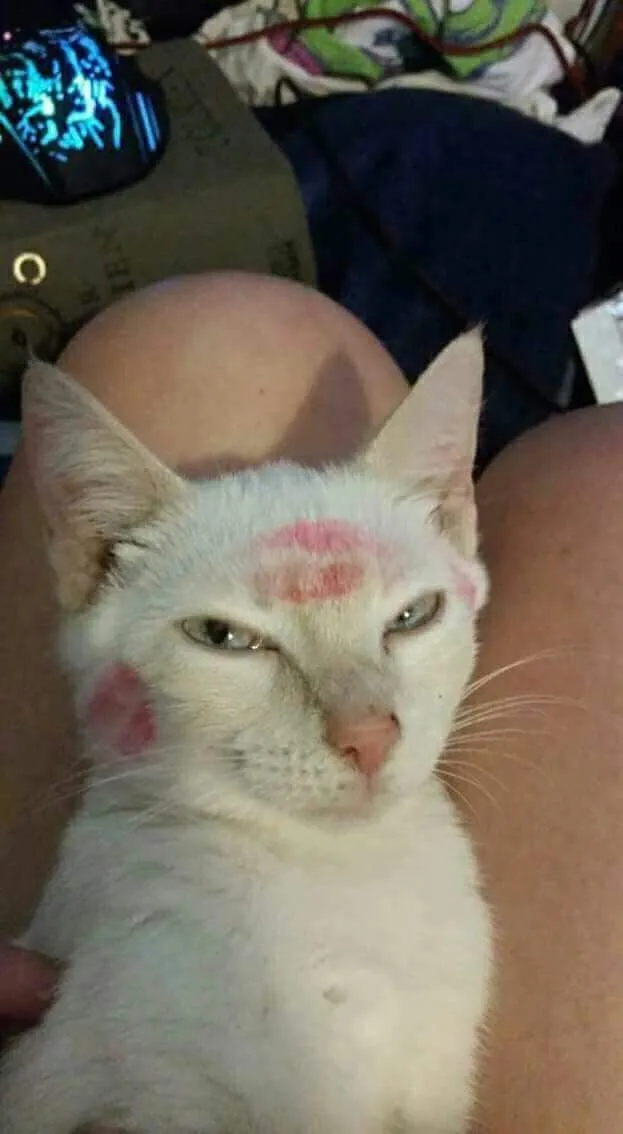 avatar.jpg