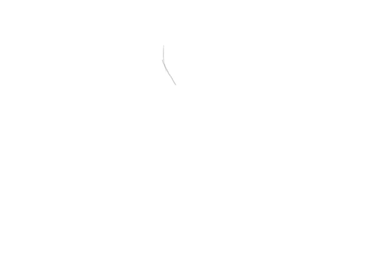 31.gif
