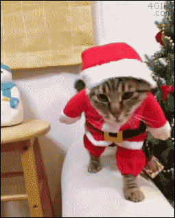 gg.gif