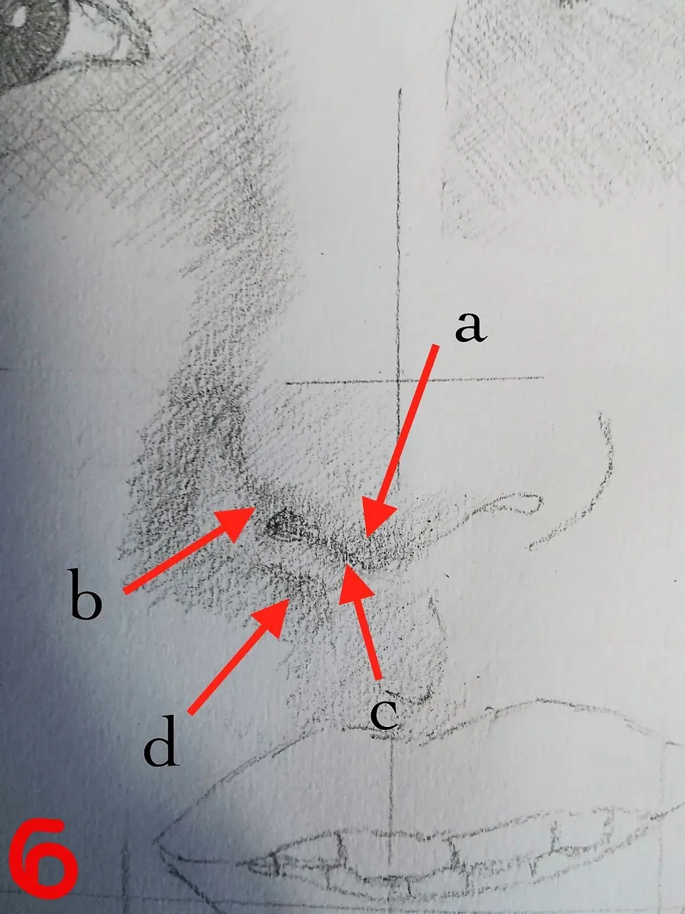 6a.jpg