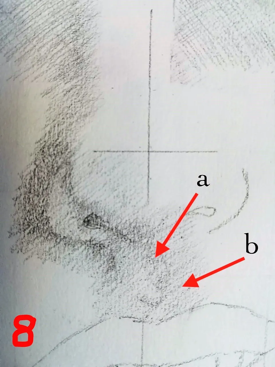 8a.jpg