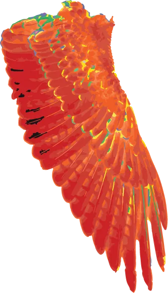 32.png