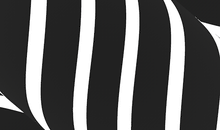 ve4t.gif