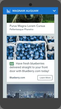 in-feed-ads-example-1