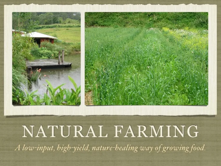 natural-farming-an-introduction-to-the-principles-of-natural-farming-and-permaculture-1-728.jpg