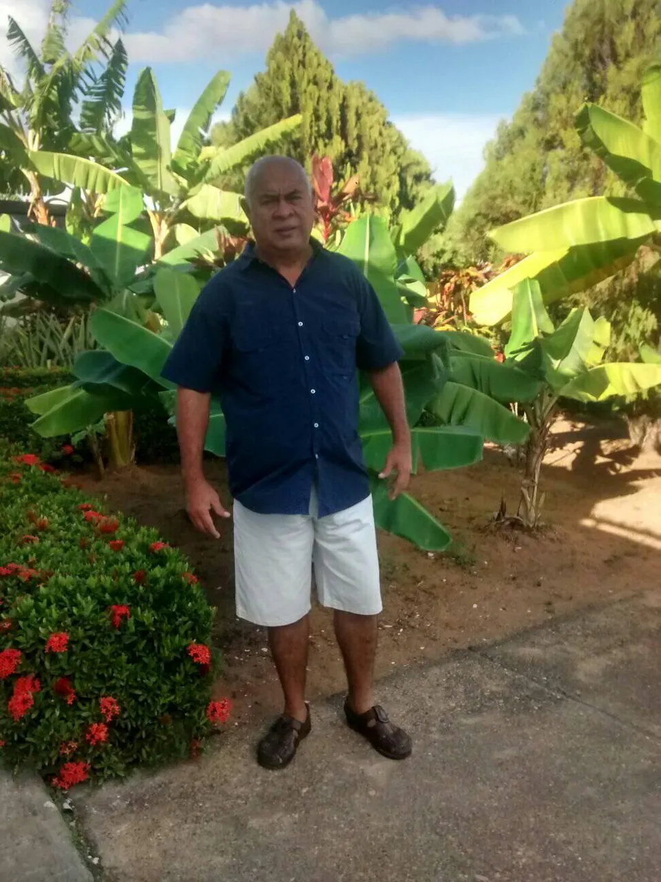 en mi jardín y sus variedades de plantas camisa azul shor blanco.jpg