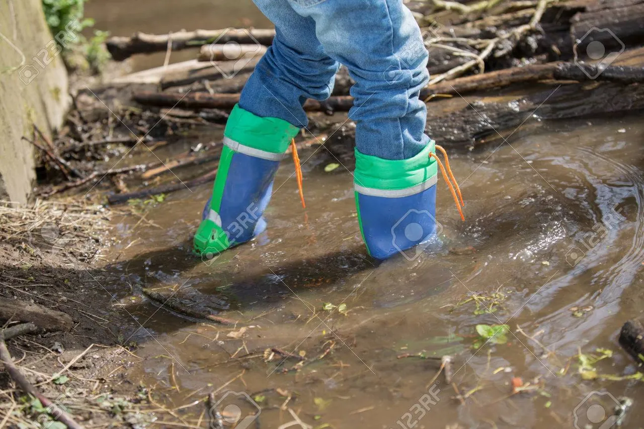 50150750-a-kid-is-walking-through-a-small-river-and-is-building-a-dam-with-some-wooden-branches-.jpg