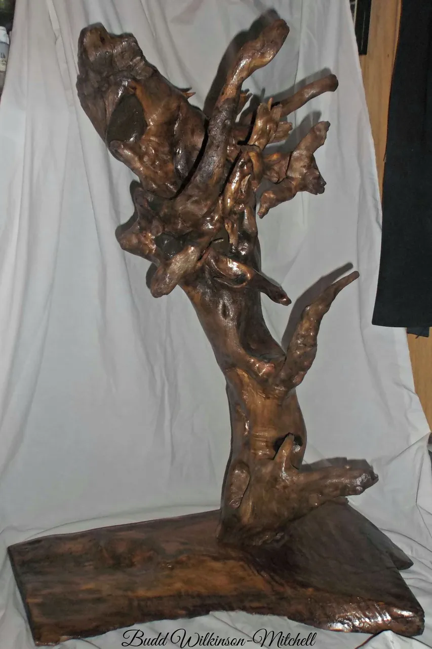 Roots 2015 32x22x15 Inch Tree Root Embedded with Ten Rocks on Burl Base.jpg