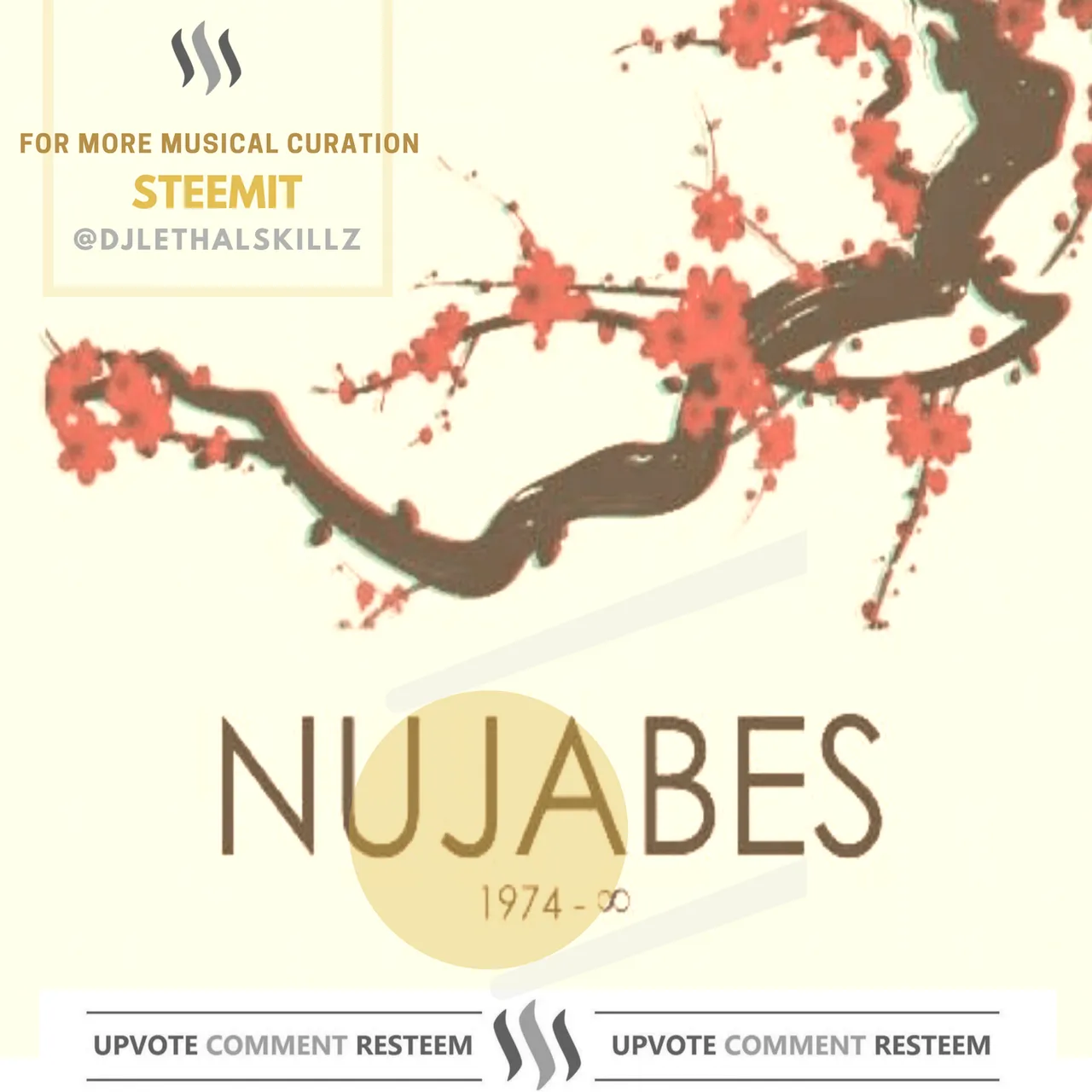 Nujabes.png