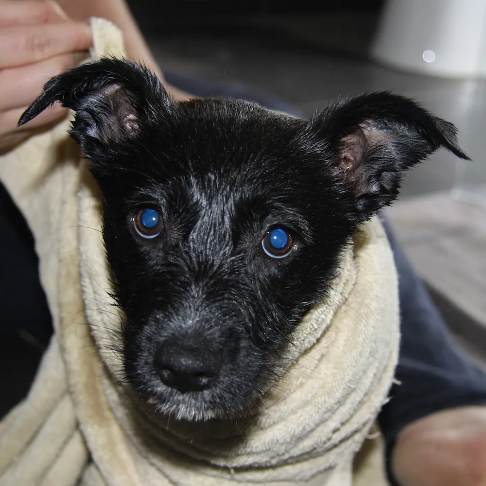 First Bath