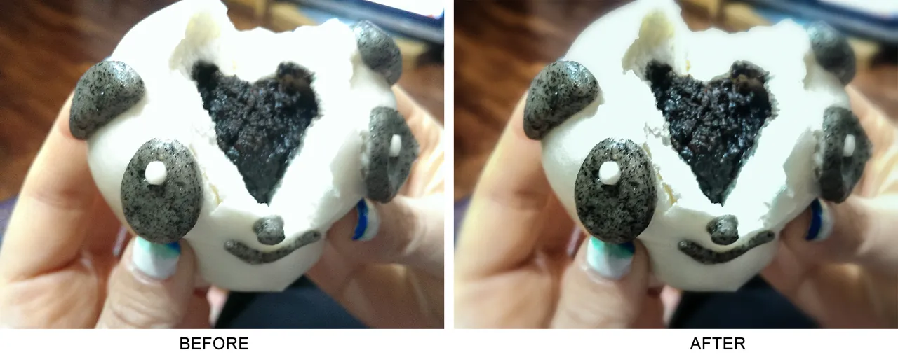 panda04