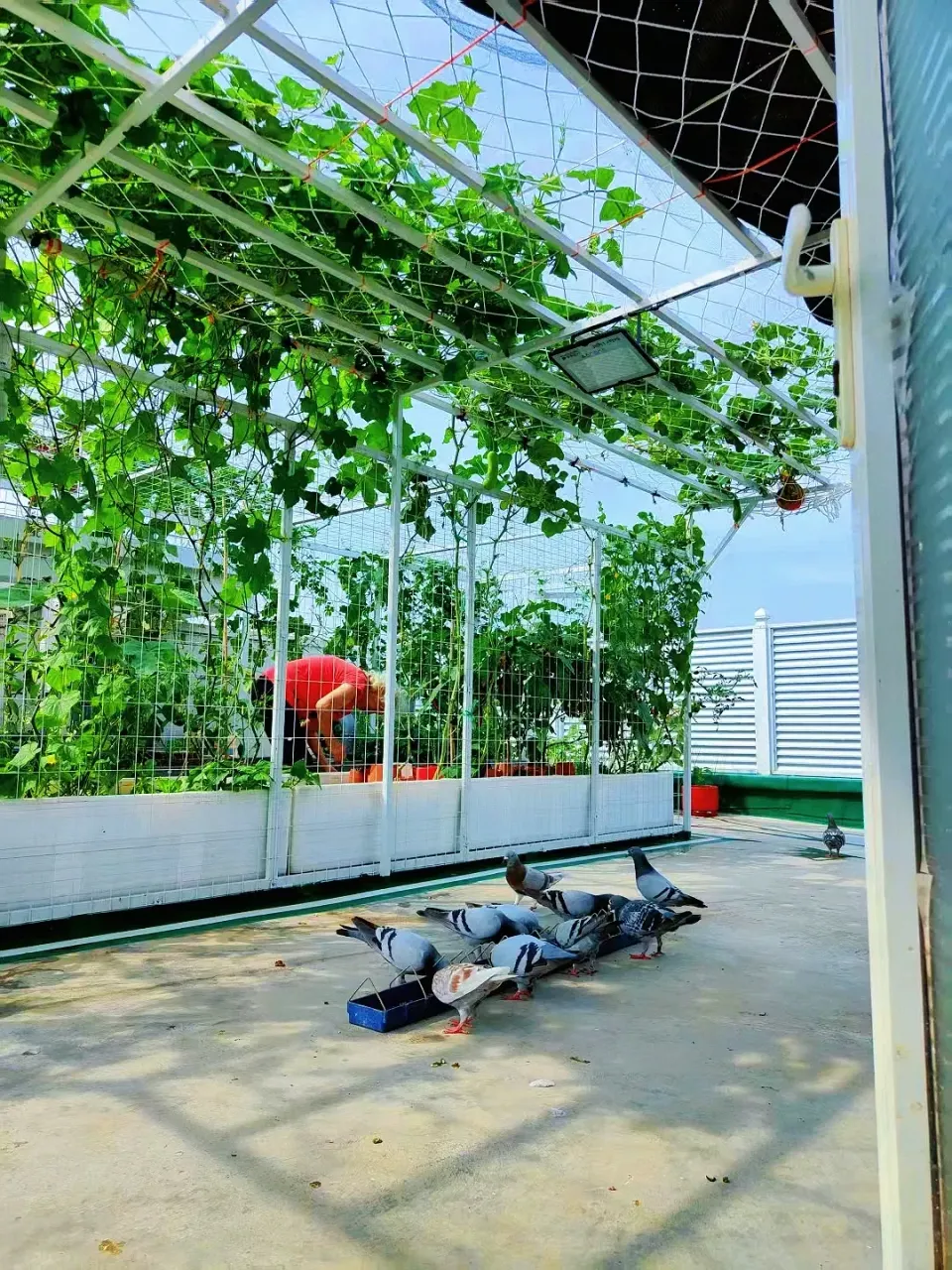ZN9Lsug5aCNjueqK_MEITU_20250726_113700509.webp
