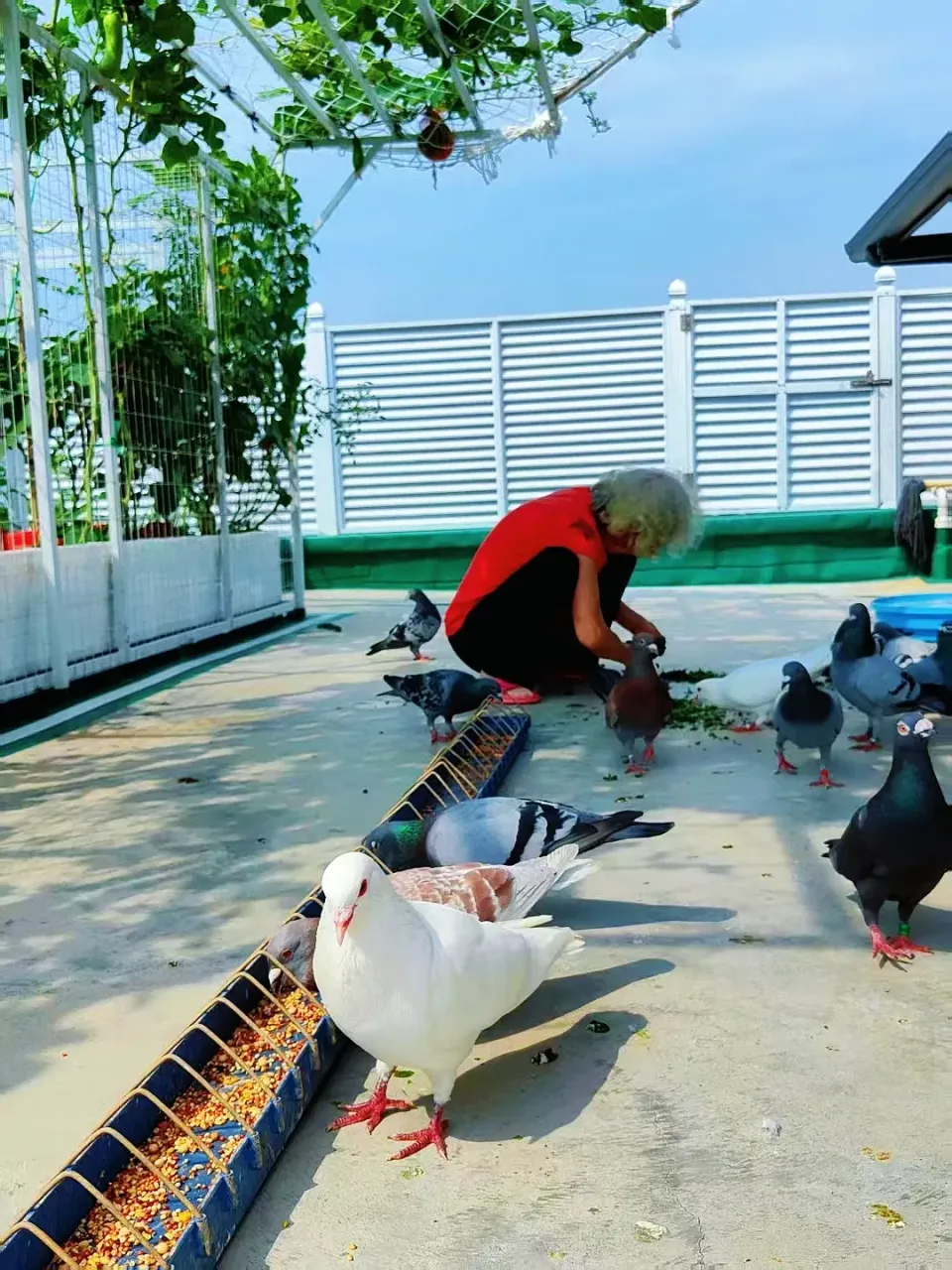 z76uVKkwjM38DaaM_MEITU_20250726_113722025.webp