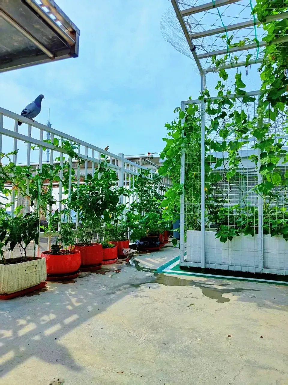 zgJZE3V0vX1Hs60F_MEITU_20250726_113649835.webp