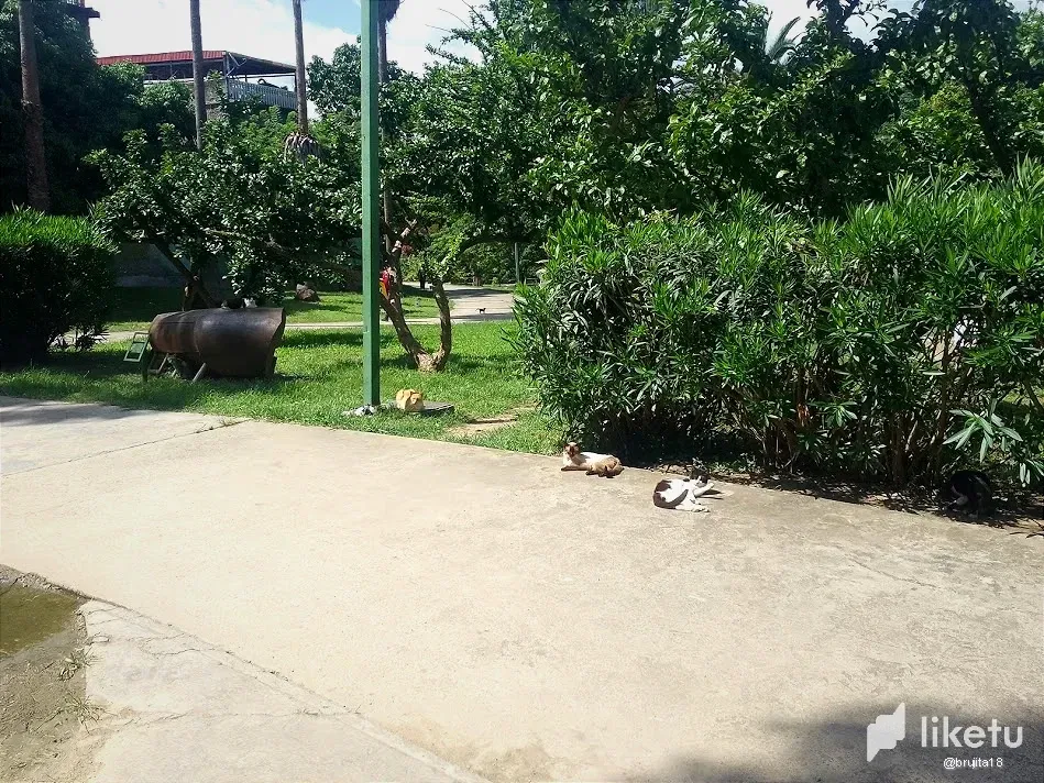VmHEAvU9Jx6rUB3A_IMG_20250702_102448_777.webp