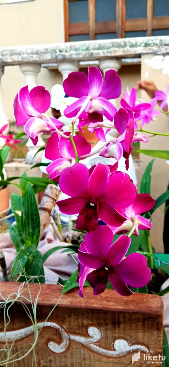 clldvhu5000p94zsz6yaobnbs_1692041067556.webp