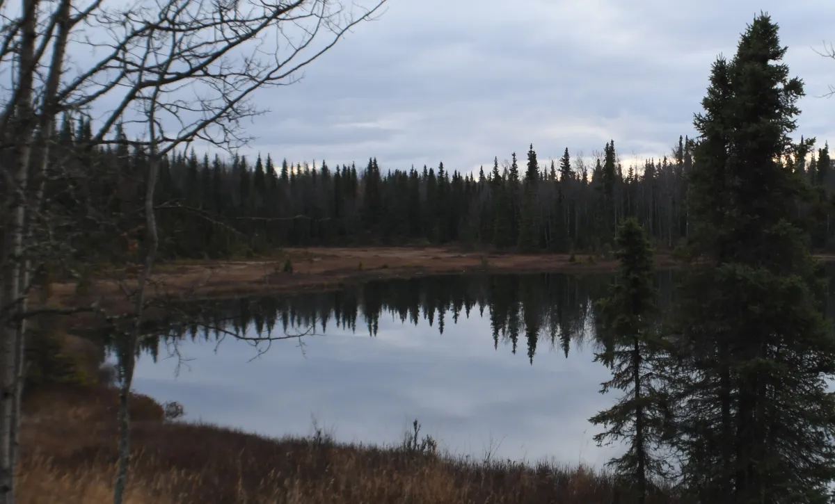 006 10-27 small lake along k-beach road.jpg