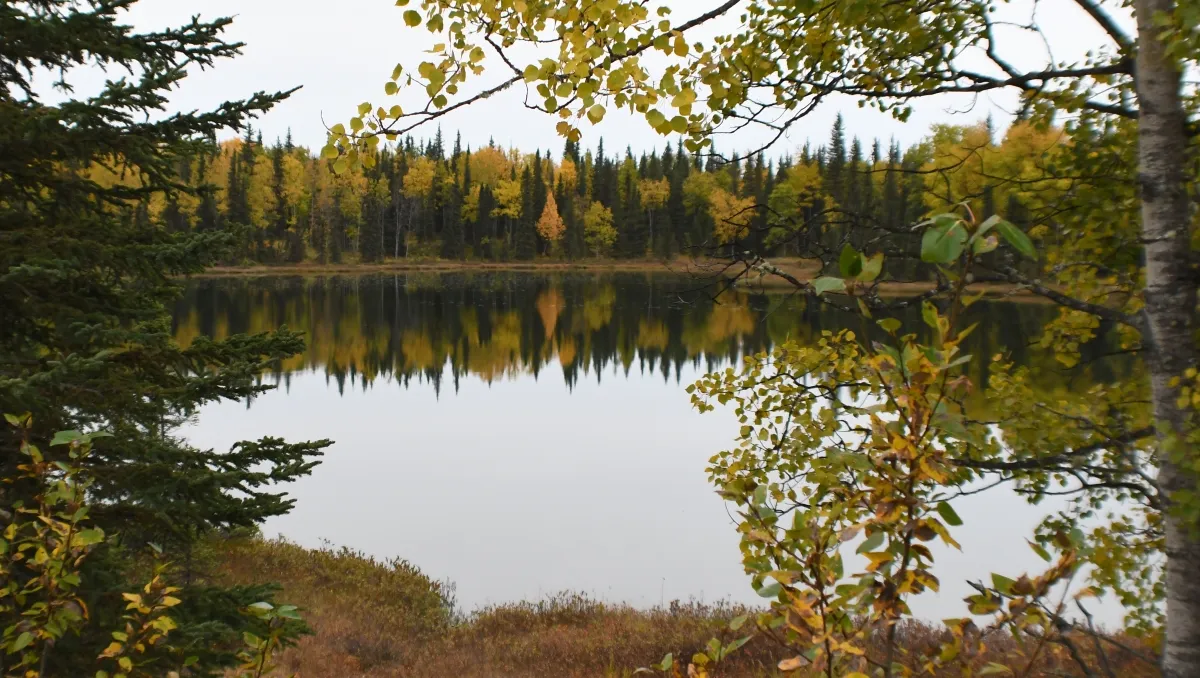 135 9-26 small lake along k-beach road.jpg