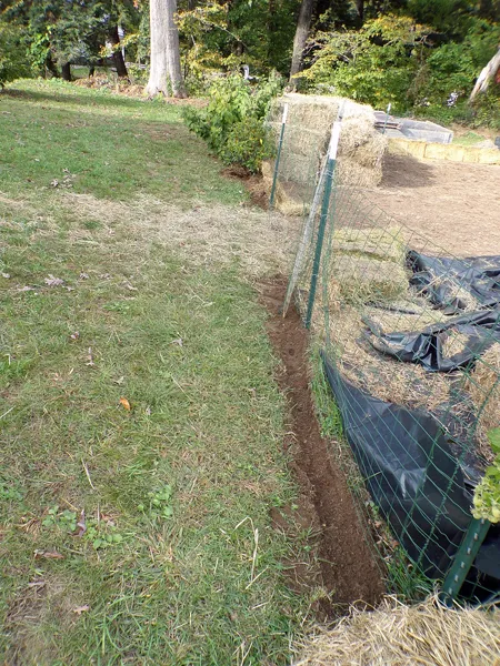 Small garden  west perimeter cleaned out crop Oct. 2020.jpg