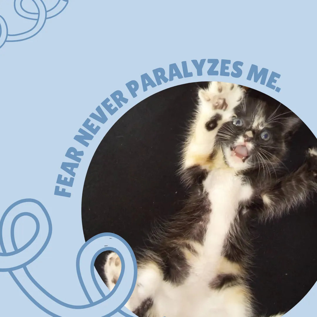 Post para Instagram Pet Shop Simple Celeste.png