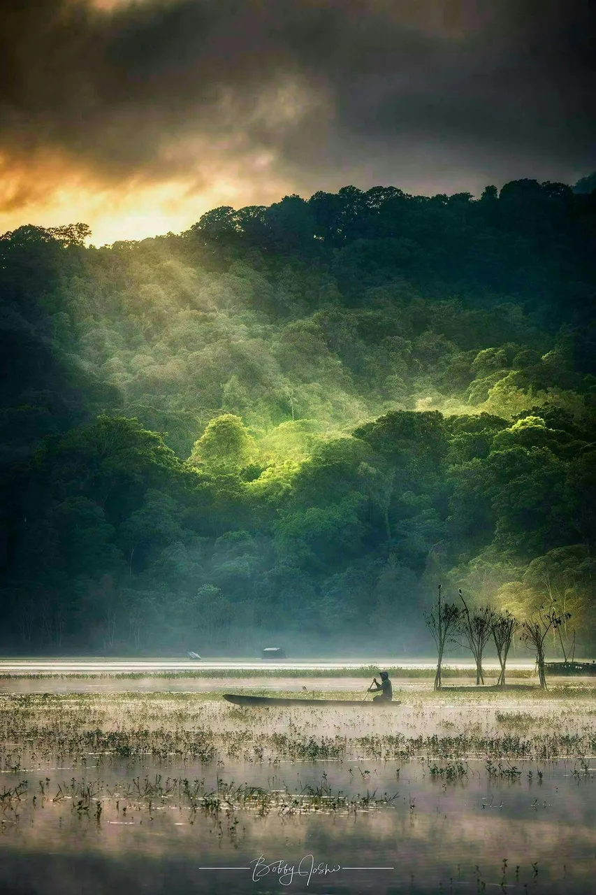 https://s3.us-east-2.amazonaws.com/partiko.io/img/sarcasticbro-first-ray-of-light-hitting-tambalingan-lake-in-bali-1532769418821.png