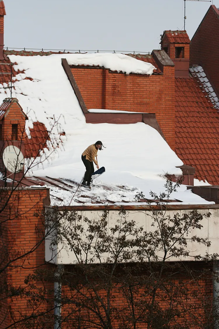 Lady on a cold tin roof - IMG_6978-steem.JPG