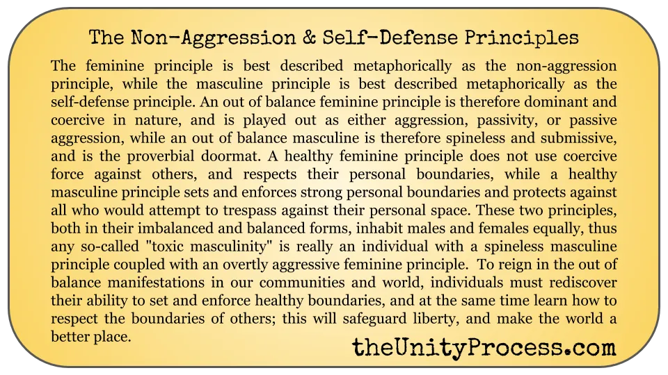 the non-aggression and self-defense principles.png