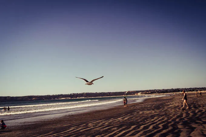 Travel Diary California Coranado Island (49).jpg