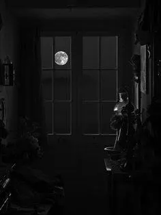 0c3685d039eacfb45db08a59357e4323--luna-moon-moon-magic.jpg