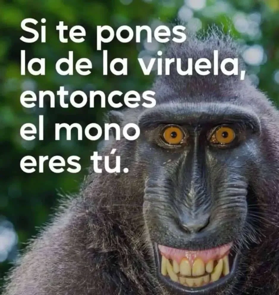 KuEtBTs3kCvVncQa_mno.webp