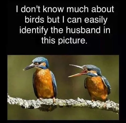 H birds.jpg