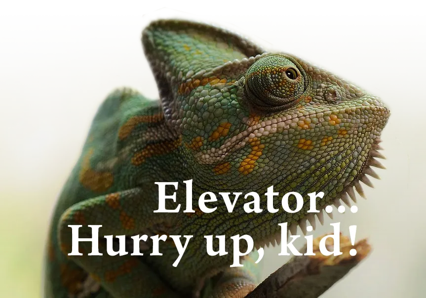 chameleos.png
